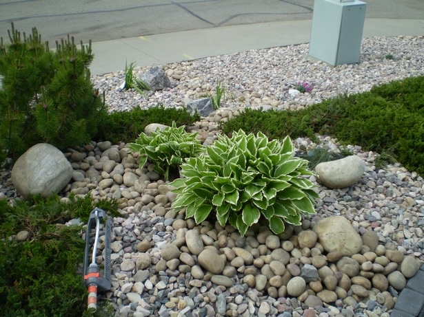 low-maintenance-yard-landscaping-60_2 Ниска поддръжка двор озеленяване