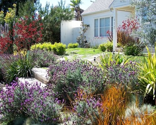 low-water-front-yard-landscaping-ideas-75_15 Идеи за озеленяване на предния двор с ниска вода