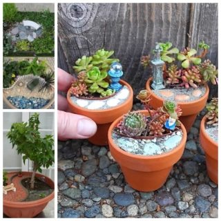 mini-garden-ideas-02_8 Идеи за мини градина
