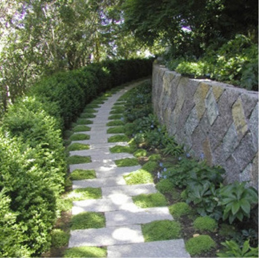 pathway-ideas-landscaping-70_13 Пътека идеи озеленяване