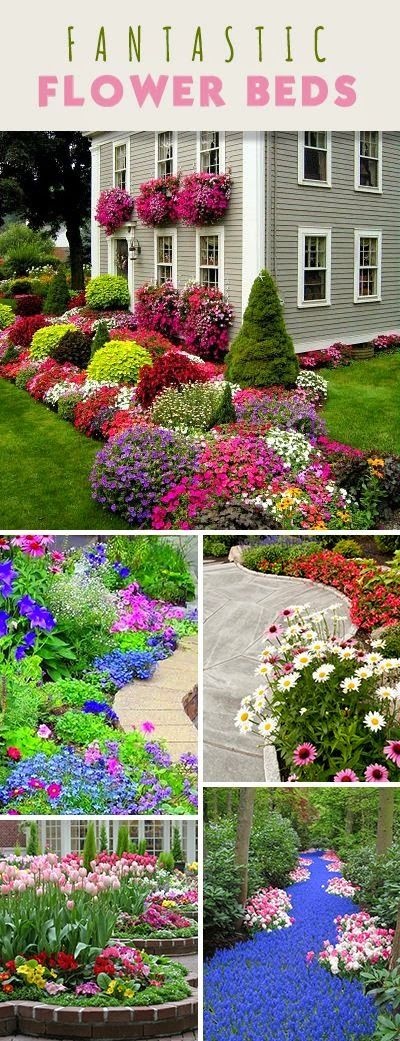 plant-ideas-for-flower-beds-42_7 Растителни идеи за цветни лехи