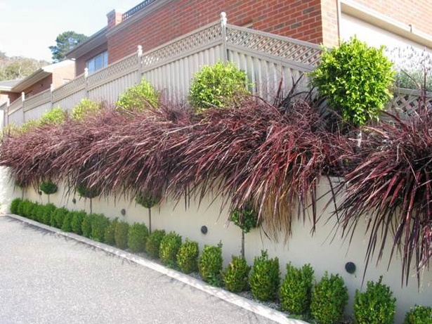 plants-for-driveway-landscaping-80_8 Растения за алеята озеленяване