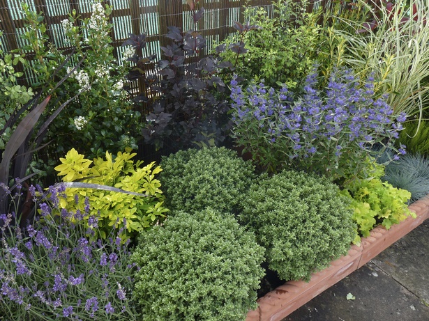 plants-for-front-yard-low-maintenance-60 Растения за преден двор ниска поддръжка