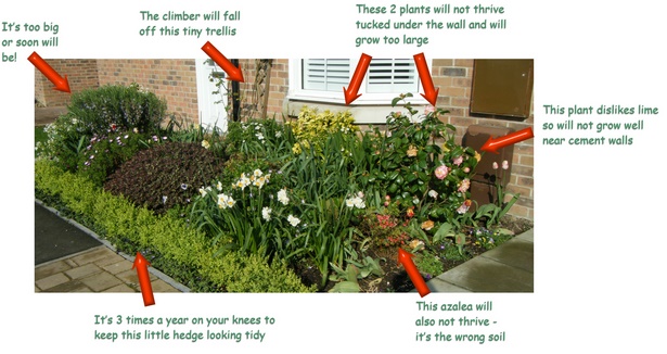 plants-for-low-maintenance-gardens-55_5 Растения за градини с ниска поддръжка