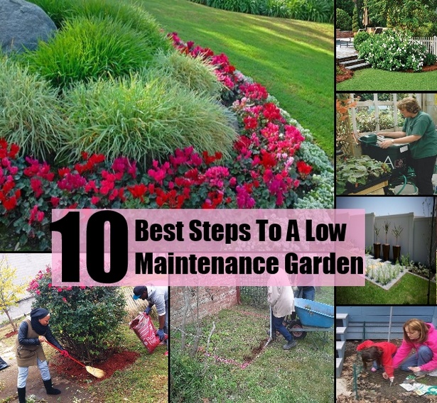 plants-for-low-maintenance-gardens-55_8 Растения за градини с ниска поддръжка