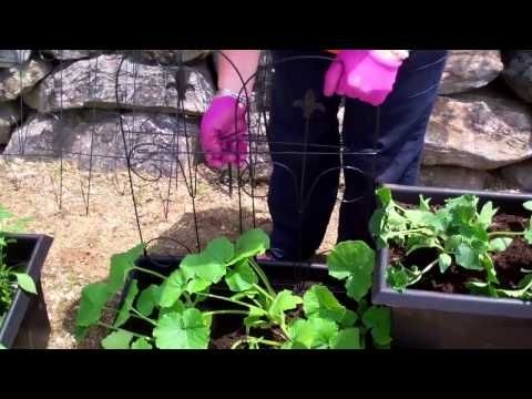 quick-garden-ideas-98_13 Бързи идеи за градината