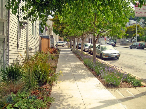 sidewalk-landscaping-ideas-79_10 Идеи за озеленяване на тротоара