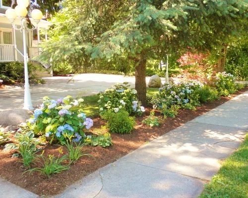 sidewalk-landscaping-ideas-79_16 Идеи за озеленяване на тротоара