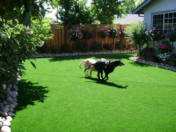 simple-backyard-ideas-for-small-yards-75_17 Прости идеи за задния двор за малки дворове