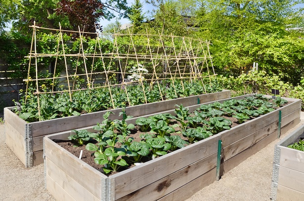 small-space-vegetable-garden-ideas-77_14 Малки идеи за зеленчукова градина