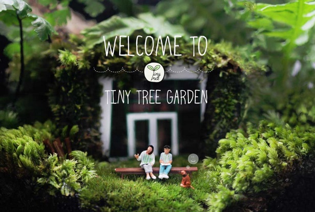 tiny-garden-01_7 Малка градина