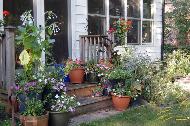 back-porch-garden-ideas-94_17 Назад веранда градински идеи