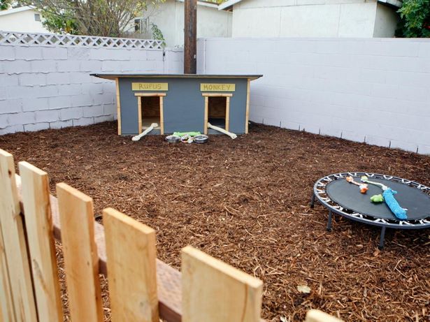 backyard-ideas-for-dogs-21_2 Идеи за задния двор за кучета