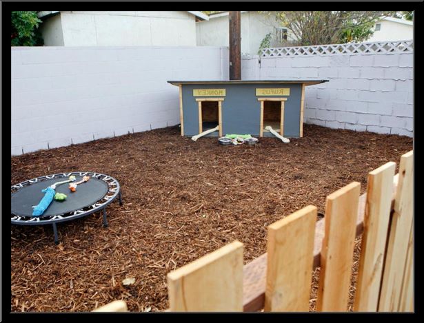 backyard-ideas-for-dogs-21_7 Идеи за задния двор за кучета