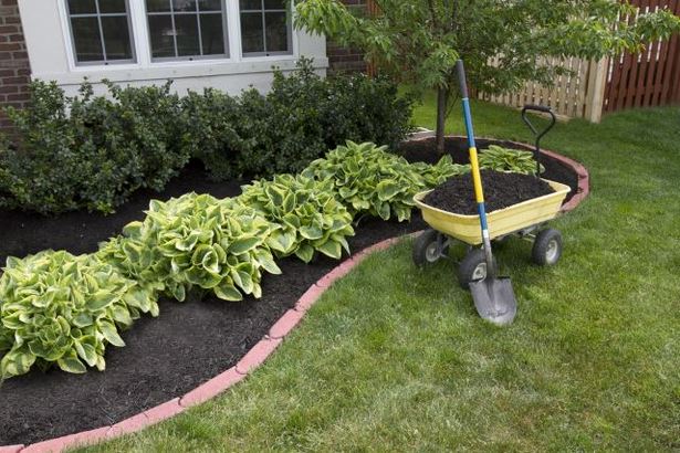 backyard-inexpensive-landscaping-ideas-78_20 Задния двор евтини идеи за озеленяване