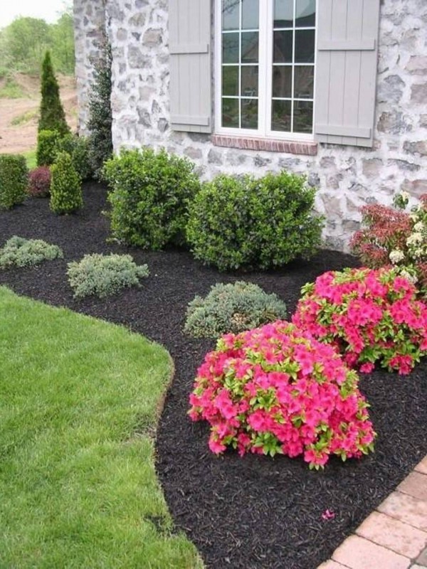 backyard-landscaping-for-cheap-85_10 Озеленяване на задния двор за евтини