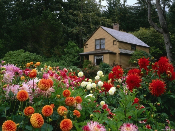 beautiful-backyard-flower-gardens-57_15 Красиви градини с цветя в задния двор