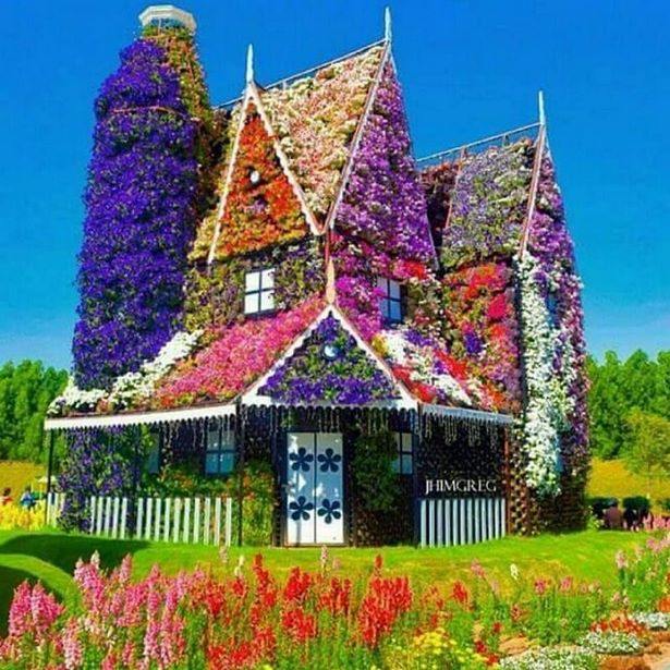 beautiful-flowers-garden-house-64_10 Красиви цветя градина къща