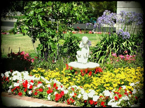 beautiful-flowers-garden-house-64_17 Красиви цветя градина къща