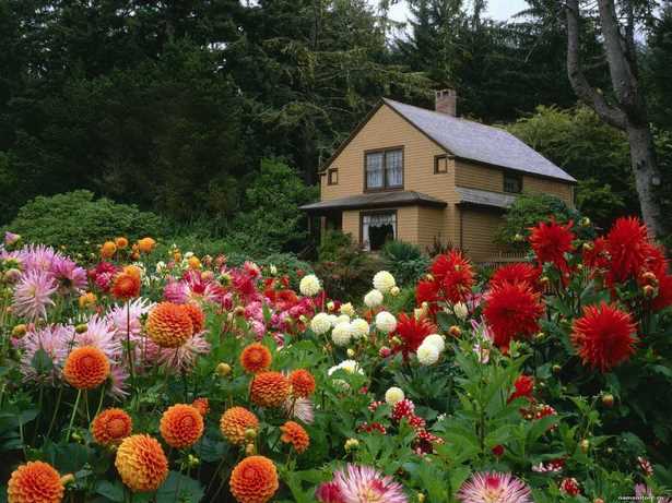 beautiful-flowers-garden-house-64_6 Красиви цветя градина къща