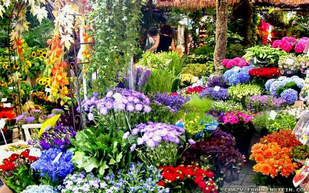 beautiful-home-flower-gardens-83_16 Красиви домашни цветни градини