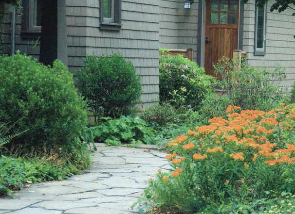 best-plants-for-small-backyard-83 Най-добрите растения за малък двор