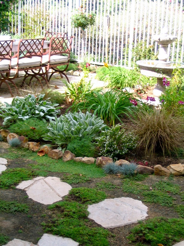 best-plants-for-small-backyard-83_12 Най-добрите растения за малък двор