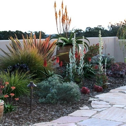 best-plants-for-small-backyard-83_14 Най-добрите растения за малък двор