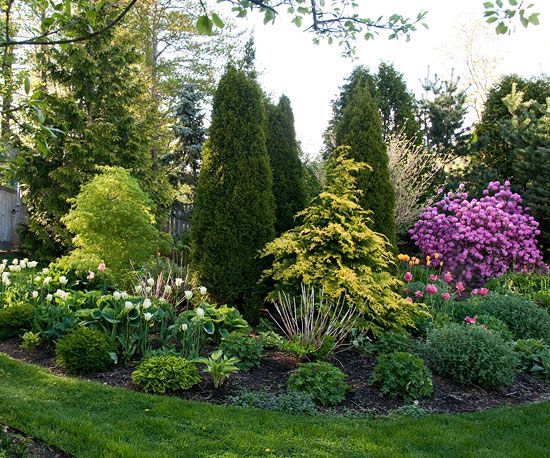 best-plants-for-small-backyard-83_3 Най-добрите растения за малък двор