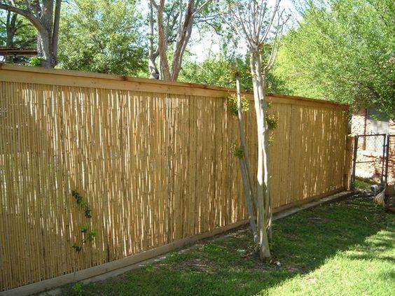 cheap-fence-ideas-for-backyard-02_5 Евтини идеи за ограда за задния двор