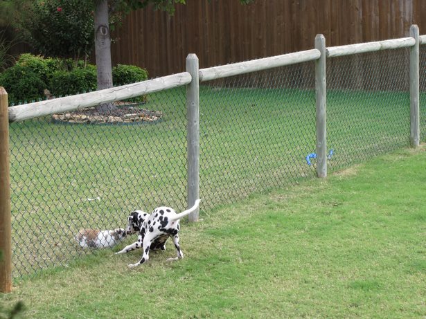 cheap-fence-ideas-for-backyard-02_9 Евтини идеи за ограда за задния двор