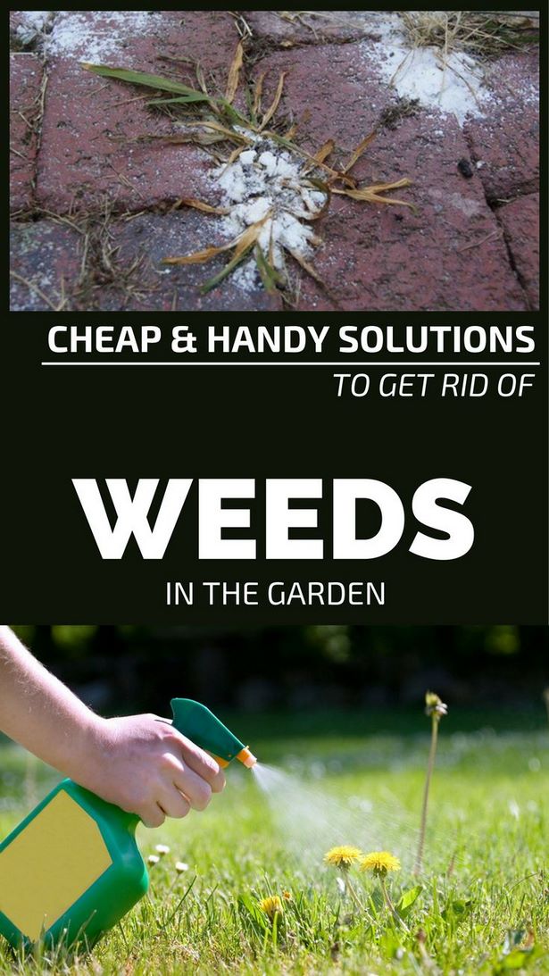 cheap-garden-solutions-39_10 Евтини градински решения