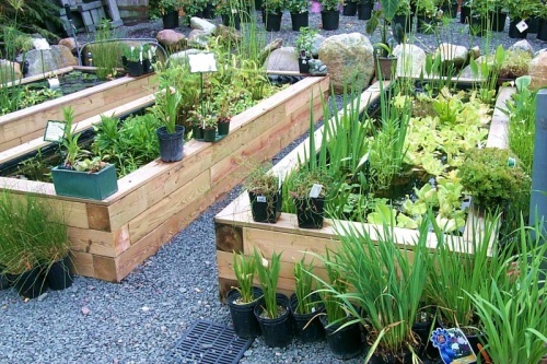 cheap-home-garden-ideas-25_8 Евтини идеи за домашна градина