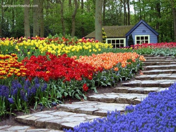 cheap-landscaping-flowers-15_8 Евтини озеленяване цветя