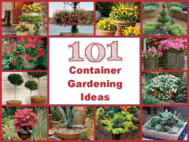 container-garden-ideas-92_9 Контейнер градински идеи