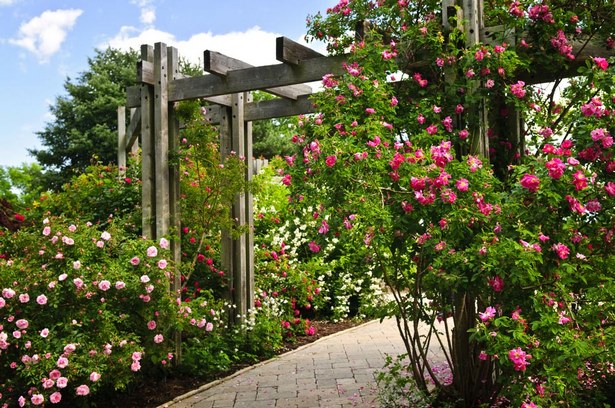 cool-backyard-gardens-65 Прохладни градини в задния двор