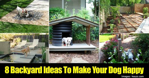 dog-yard-ideas-12_5 Куче двор идеи