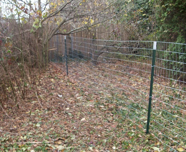 garden-fence-ideas-cheap-32_11 Градинска ограда идеи евтини