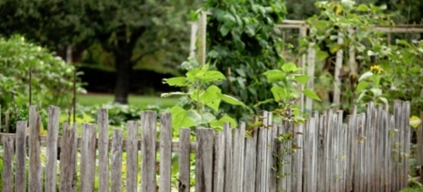 garden-fence-ideas-cheap-32_2 Градинска ограда идеи евтини