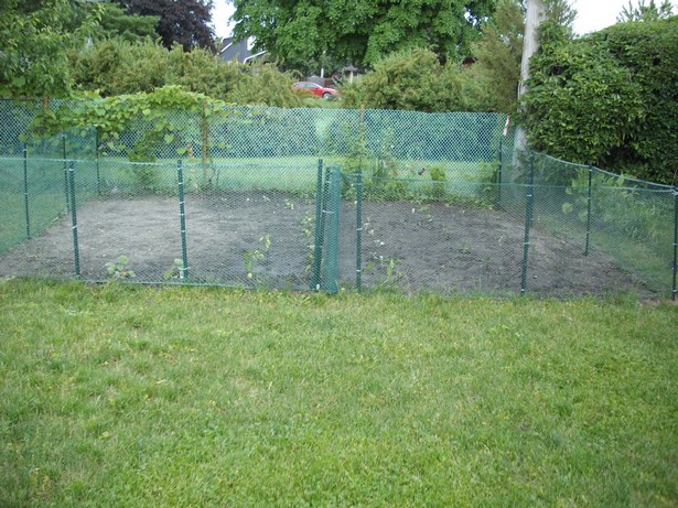garden-fence-ideas-cheap-32_3 Градинска ограда идеи евтини
