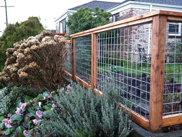 inexpensive-garden-fencing-ideas-60_14 Евтини идеи за градинска ограда