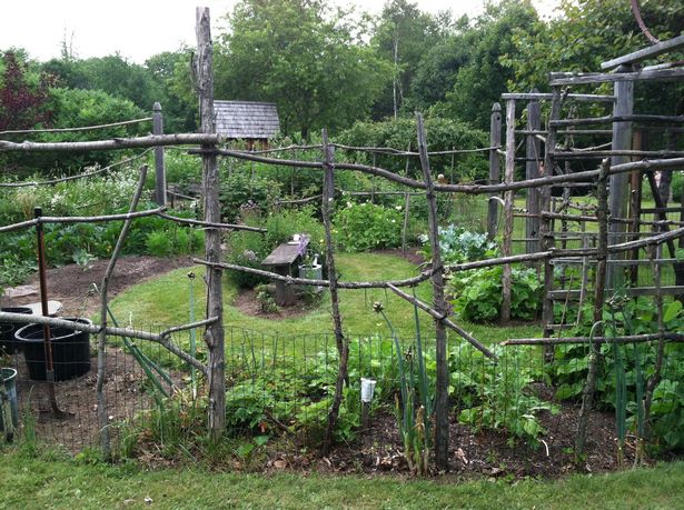 inexpensive-garden-fencing-ideas-60_5 Евтини идеи за градинска ограда