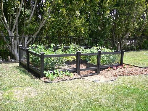 inexpensive-garden-fencing-ideas-60_7 Евтини идеи за градинска ограда