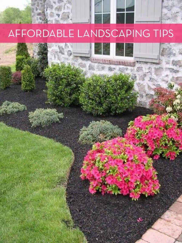 inexpensive-landscaping-ideas-for-front-of-house-62_2 Евтини идеи за озеленяване за предната част на къщата