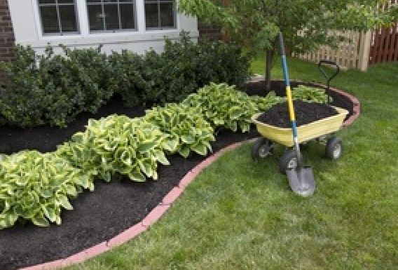 inexpensive-landscaping-ideas-for-front-of-house-62_7 Евтини идеи за озеленяване за предната част на къщата
