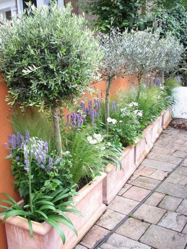 inspirational-small-garden-ideas-69_14 Вдъхновяващи идеи за малки градини