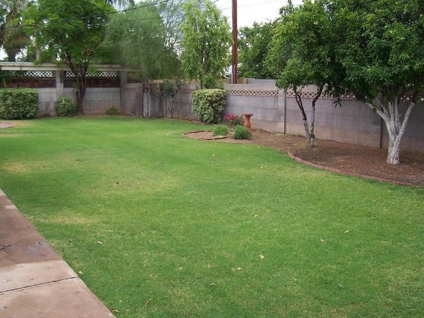 landscape-ideas-for-small-rectangular-backyard-96_11 Ландшафтни идеи за малък правоъгълен заден двор