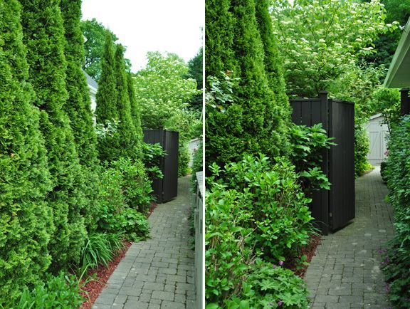 landscaping-for-narrow-spaces-68_14 Озеленяване на тесни пространства