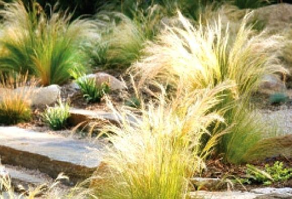 landscaping-grasses-ideas-74 Озеленяване треви идеи