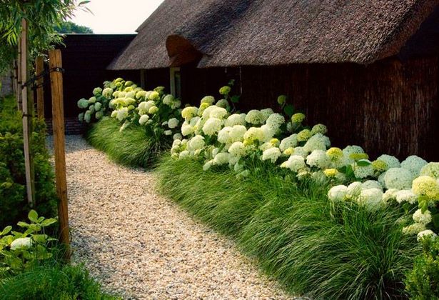 landscaping-grasses-ideas-74_10 Озеленяване треви идеи